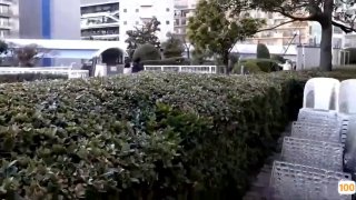 亚洲AV.国产在线视频免费观看日本免费一区香蕉视频,亚洲毛片免费一级,国产在线精品一区亚洲毛片免费一级,国产在线精品一区二区不卡麻豆